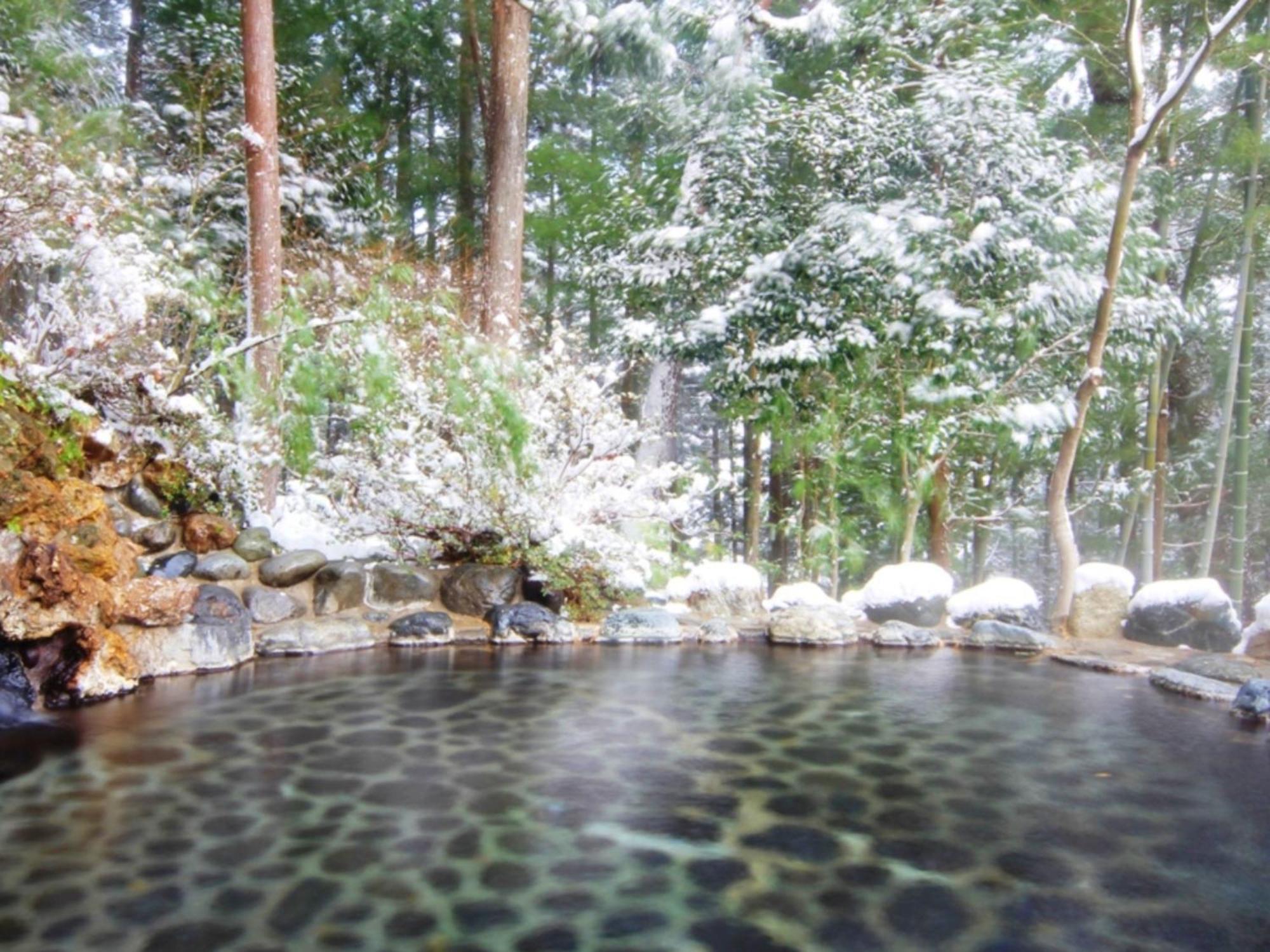 Yumoto Choseikan Obinata Luaran gambar